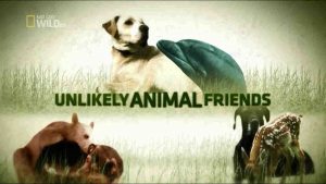 Unlikely Animal Friends All in the Family