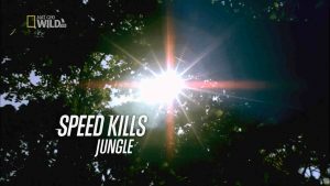 Speed Kills Jungle