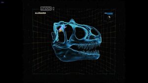 Jurassic's Battles