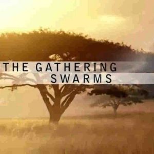 The-Gathering-of-Swarms-gallery1