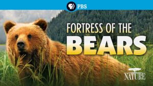 Fortress of Bears 2012