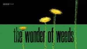 BBC The Wonder of Weeds