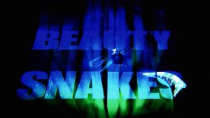 The Beauty of Snakes